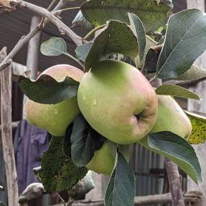 WhatsApp Image 2025-07-01 at 1.42.57 PM